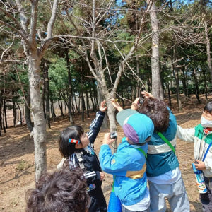 [숲파티포레] 울산대공원 간절곶 울산 경남 어린이 유아 초등 봄 숲체험 ... 솔직 후기 | 실사용자 리뷰 분석 - 상품 이미지 4