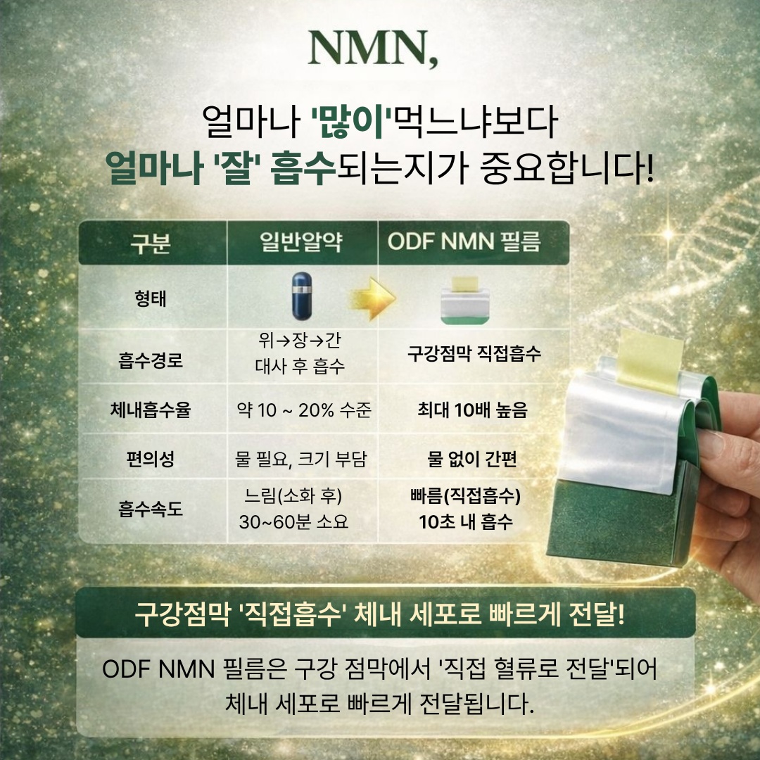 NMN 영양제 필름 퀘르세틴 레스베라트롤 저속노화 이너뷰티 엘누아르랩 30매, 3개 - 상세 이미지 5
