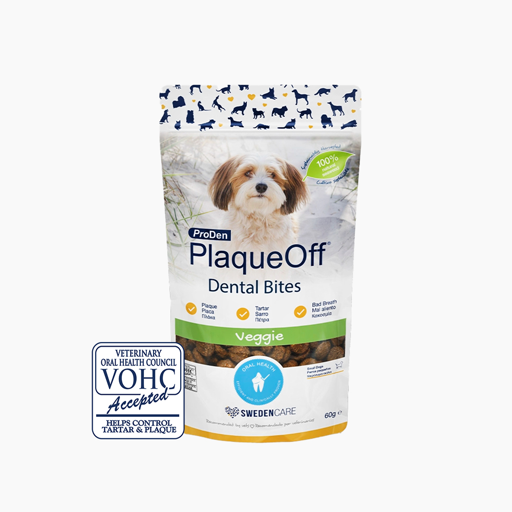 [신기펫케어] 프로덴 플라그오프 덴탈 바이트 독 60g 제품 이미지