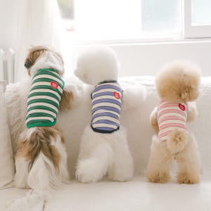 강아지옷 실내복 티셔츠 소형견 중형견 의류 데일리하트라인즈 솔직 후기 | 실제 사용자 리뷰 총정리 - 상품 이미지 1