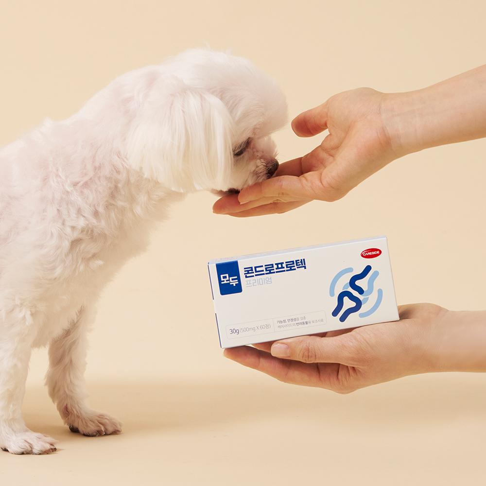 케어사이드 모두 콘드로프로텍 60정 관절 보조제 제품 이미지