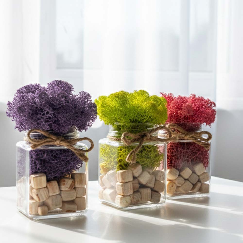 꽃순이 스칸디아모스 천연 이끼 화분 공기정화식물 개업 승진 축하 선물세트 - 상세 이미지 4
