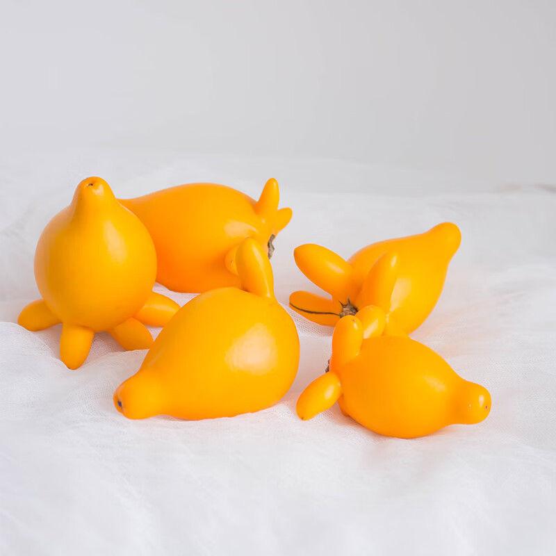 넓은 입구 거실 수경재배 대형 테이블 장식 투명 유리 5세대 과일 30 - 40cm 13 4개과일 꽃병 없음 이미지 6