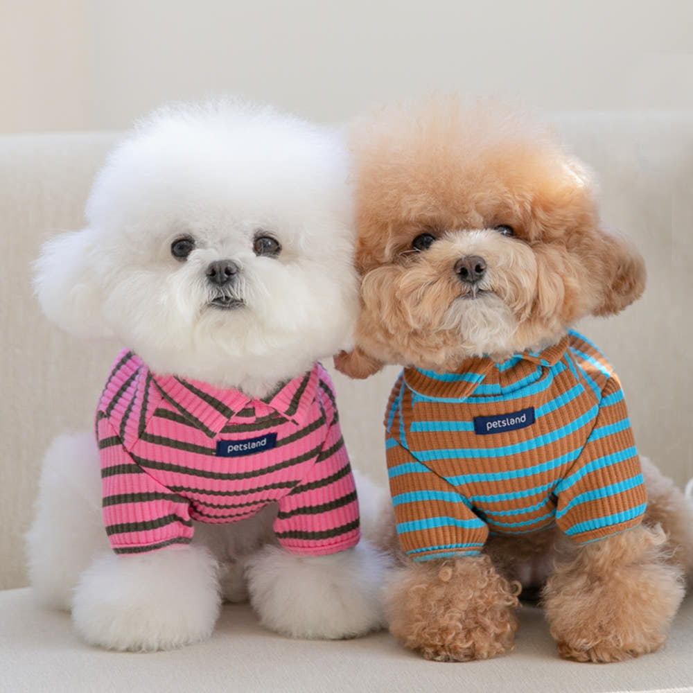 강아지옷 강아지 실내복 봄옷 티셔츠 돌체하이넥 제품 이미지