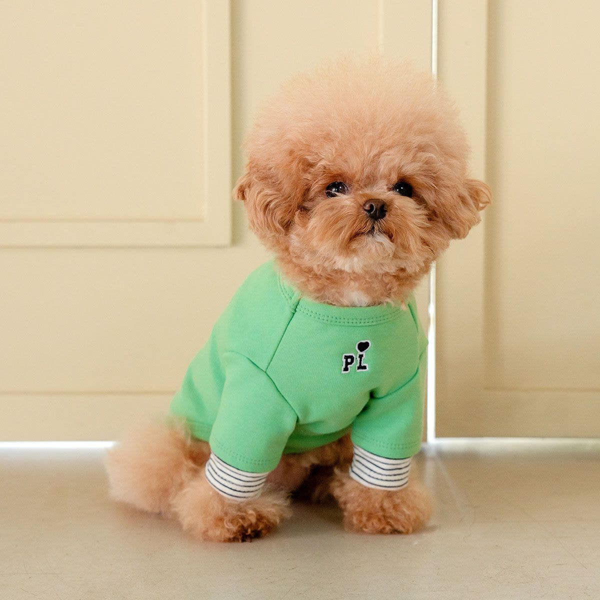 강아지 봄옷 소형견 실내복 강아지옷 레이어드 티셔츠 제품 이미지