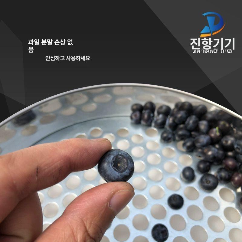 블루베리 수동 선별기 농업용 과일 구멍 스테인레스 분류 8mm - 상세 이미지 3