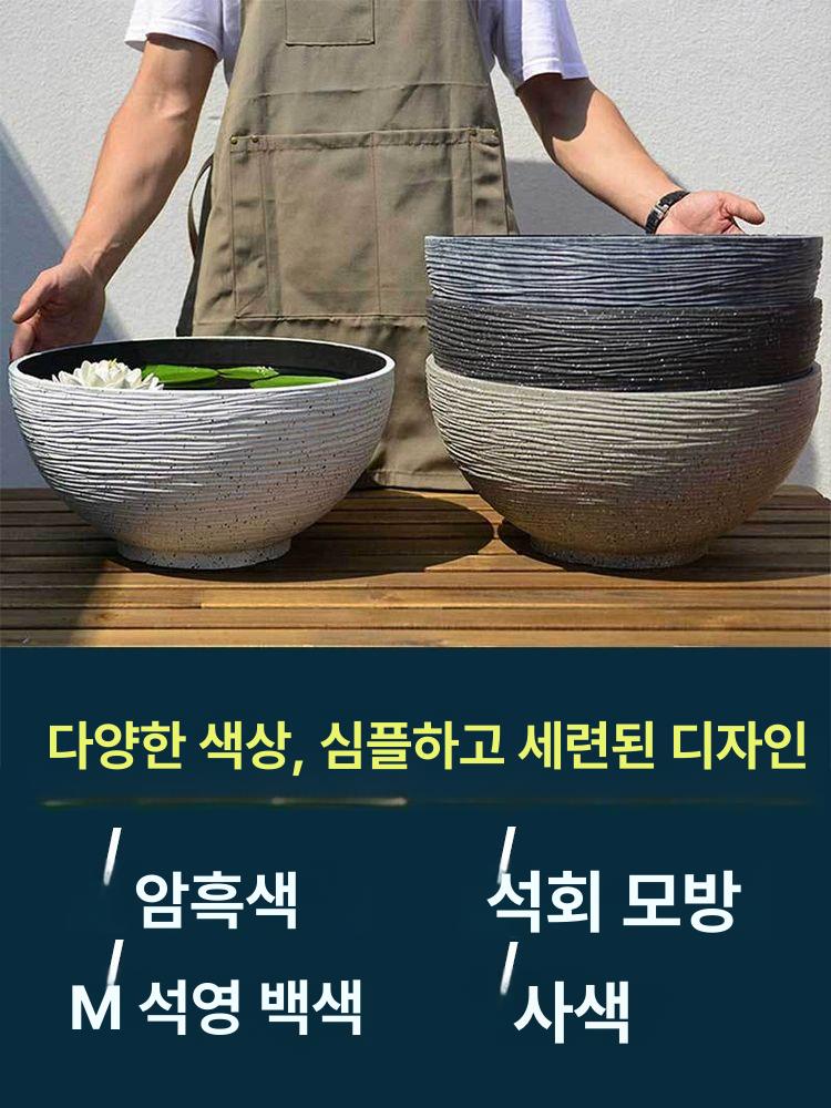 부레옥잠 키우기 수중 소형 수경화 물에서키우는식물 수생 블랙 소형 지름35cm 10x10x10cm - 상세 이미지 3
