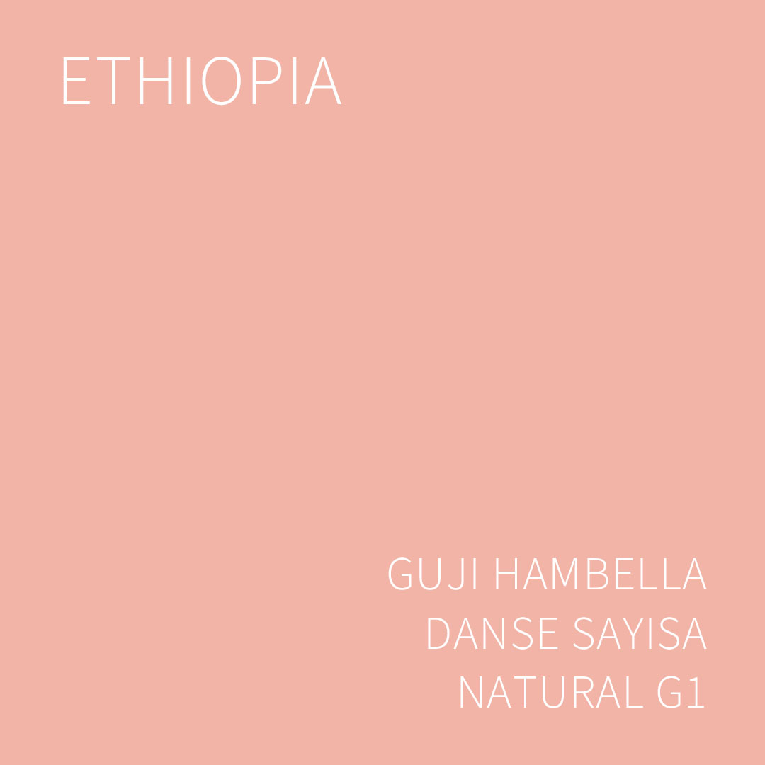에티오피아 구지 함벨라 단세 사이사 내추럴 G1 5KG (ETHIOPIA GUJI HAMBELLA DANSE SAYISA NATURAL)