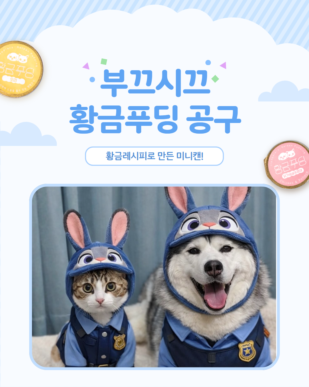 황금푸딩 6종 골라담기 (강아지고양이 겸용) 공구 이미지