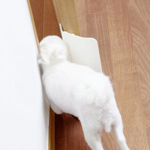 요기펫 펫도어 강아지 고양이 방묘문 출입문 안전문 방 화장실 견문 솔직 후기 | 실제 사용자 리뷰 총정리 - 상품 이미지 1