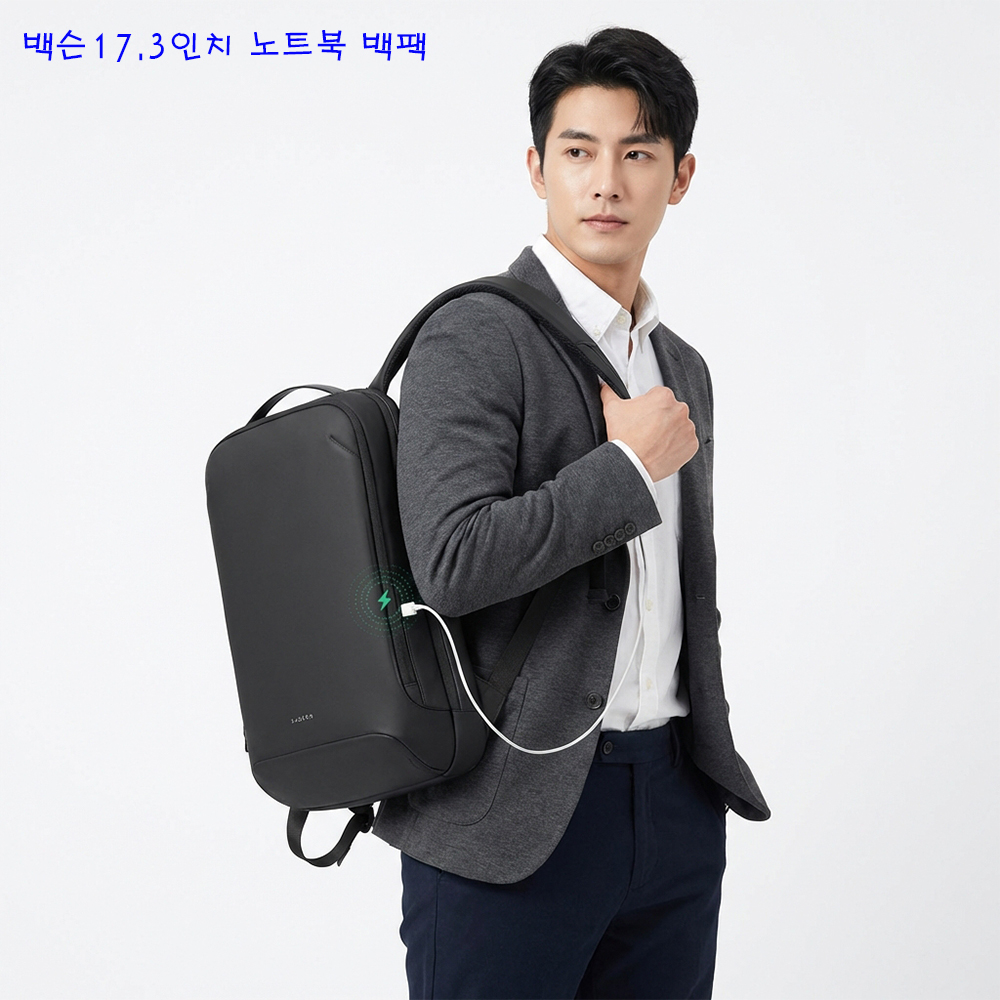 백슨 17.3인치 비즈니스 노트북 백팩 직장인 여행용 가방 - 상품 이미지