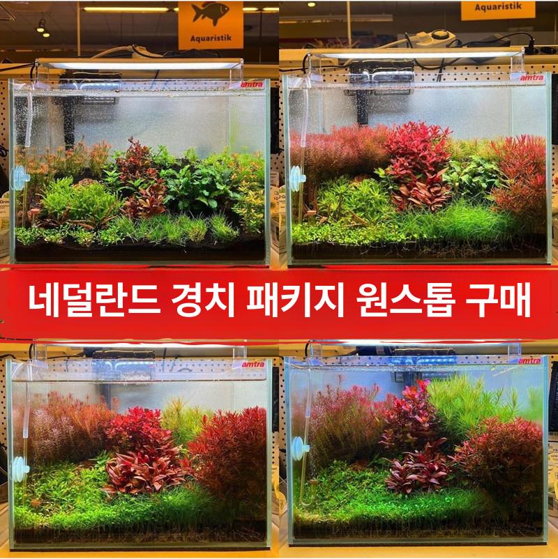 어항용 솔레노이드 밸브 이산화탄소발생기용 화학이탄 외장 입문용 패키지 1 - 상세 이미지 4
