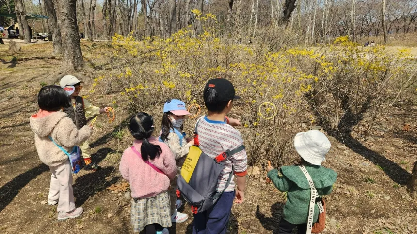 [숲파티포레][한밭수목원/은구비공원] 대전 충청 세종 유아 초등 주말 봄 숲체험 자연 학습 이미지 4