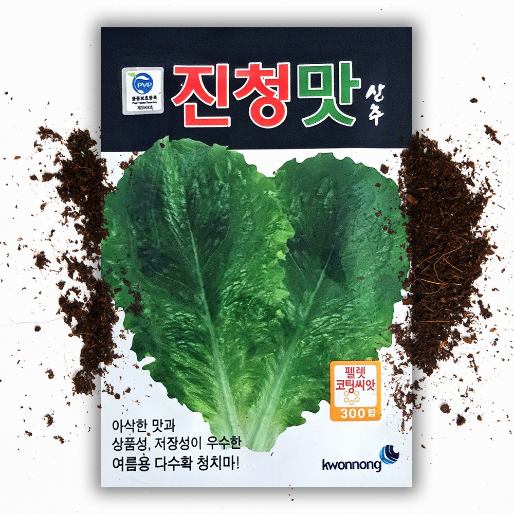 진청맛상추씨앗 300립 펠렛코팅 아삭이 여름 청 상추 씨 씨앗 종자 - 상품 이미지