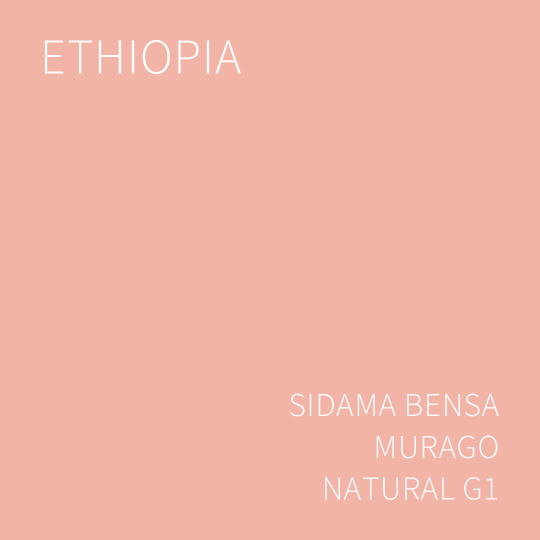 에티오피아 시다마 벤사 무라고 내추럴 G1 5KG (ETHIOPIA SIDAMA BENSA MURAGO NATURAL)