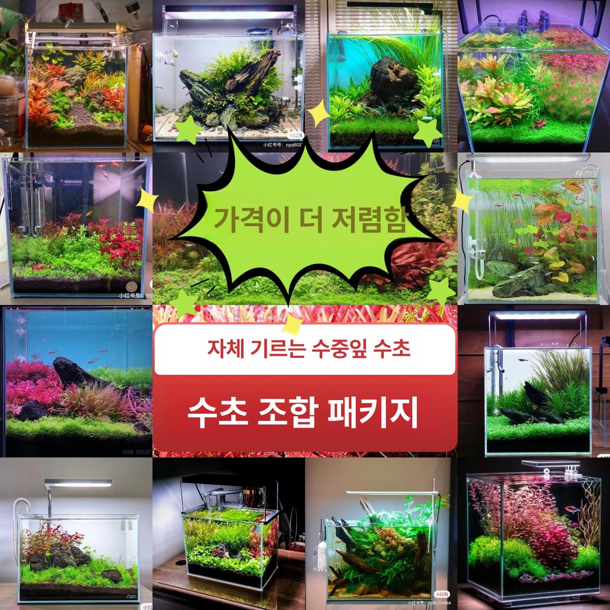 어항용 솔레노이드 밸브 이산화탄소발생기용 화학이탄 외장 입문용 패키지 1 - 상세 이미지 3
