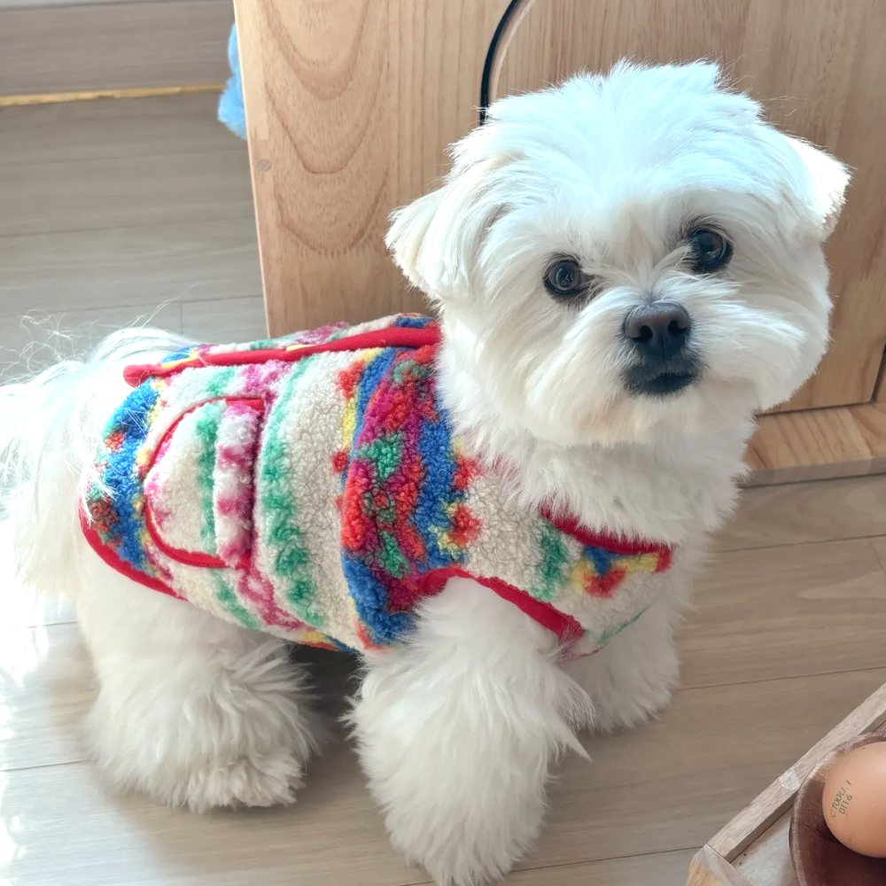 뚜담펫 고양이할머니조끼 반려견 고양이 강아지 김장조끼 - 상세 이미지 3