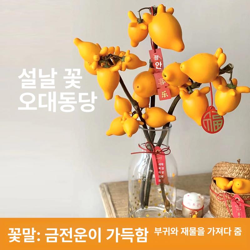 넓은 입구 거실 수경재배 대형 테이블 장식 투명 유리 5세대 과일 30 - 40cm 13 4개과일 꽃병 없음 - 상세 이미지 3