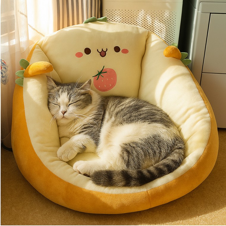 도모아 캐릭터 바닥 의자 디자인 등받이 귀여운 빈백 좌식 쿠션 1인용