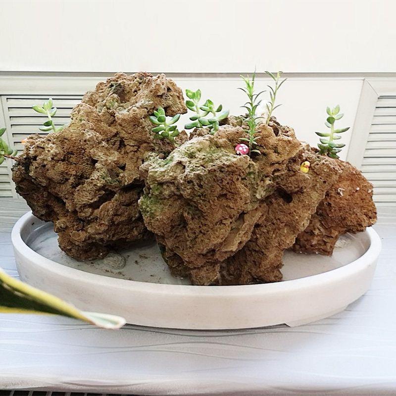 도자기 수반 화분 수목흑 분재 깊은 타원형 다관받침 세면대 70x37x10cm - 상세 이미지 2