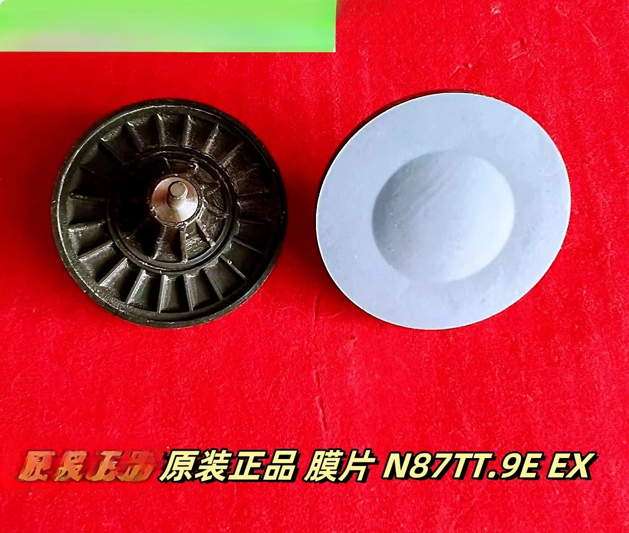 펌프 다이어프램 N87TT.9E EX