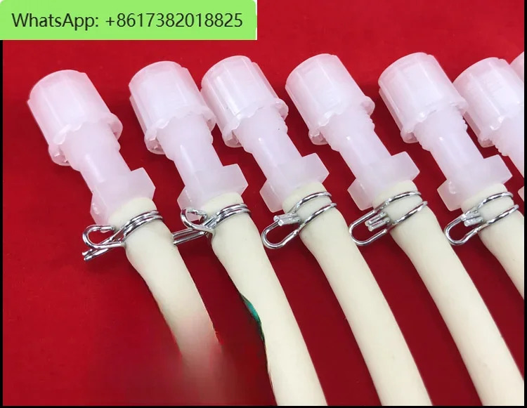 연동 펌프 SR25 RDB-100 와일드카드 튜브 PVDF 페룰 피팅 클램프 호스