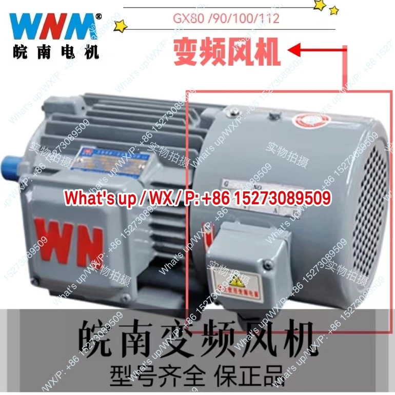 Wannan Motor특수 인버터 팬 독립 팬/고효율 GX 시리즈 YXVF/YE3VF 공급