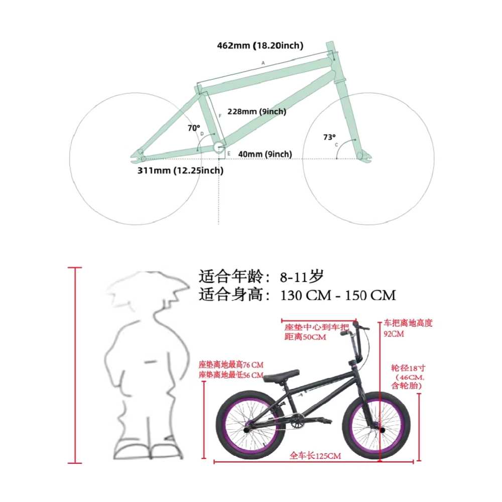 BMX 자전거 몰리브덴강 크롬 묘기 스턴트 블랙과 보라색 - 상세 이미지 3