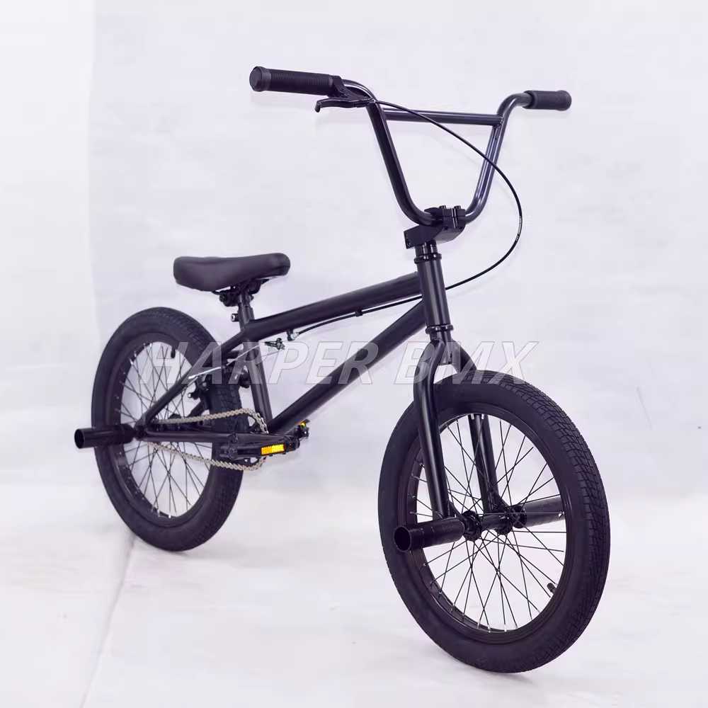 BMX 자전거 몰리브덴강 크롬 묘기 스턴트 블랙과 보라색 이미지 7