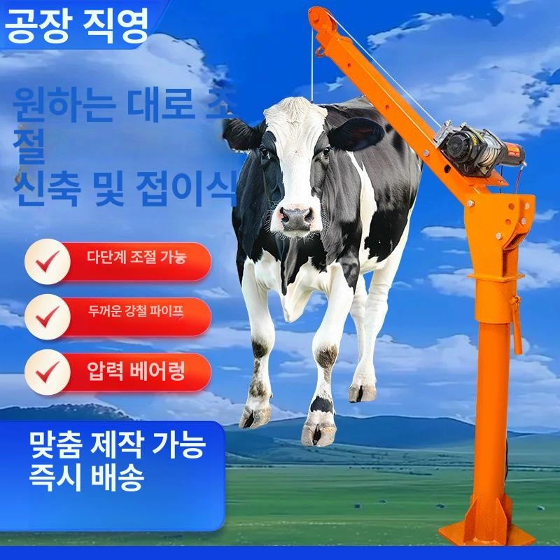 전동 호이스트 견인 전동윈치 저속 기중기 체인블럭 윈치 12v 500kg 강화형 리모컨 + 유선 - 상세 이미지 3