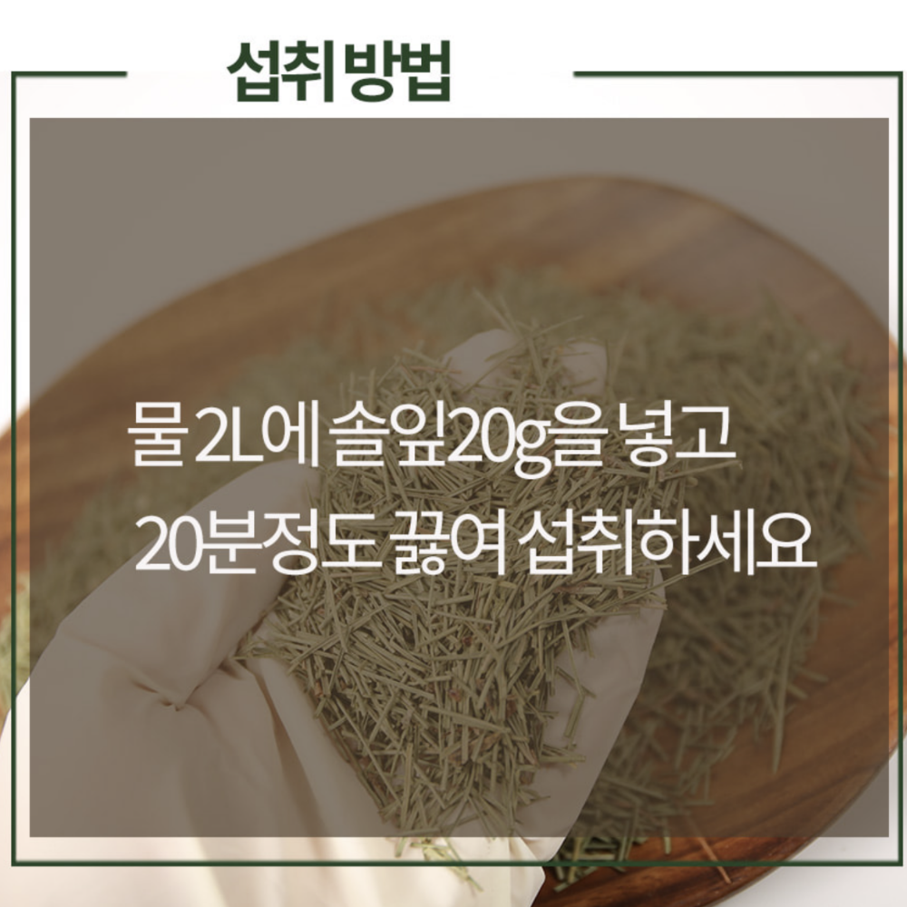 솔잎 효능 대용량 1KG 국산 100% 이미지 7