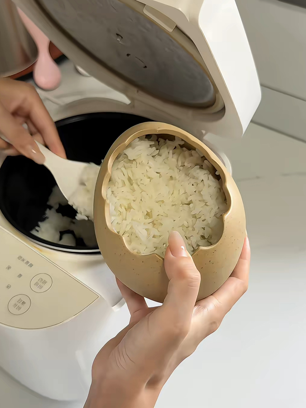 그릇 둥지 타조알 접시 특이한 플레이트 대형 가로 55 0ml+15cm 조개알 모양 - 상세 이미지 2