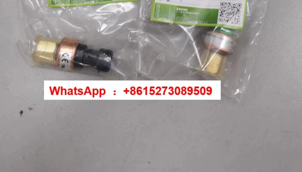00PPG0000002000/00PPG000003000 30RB/RQ 고저전압 센서