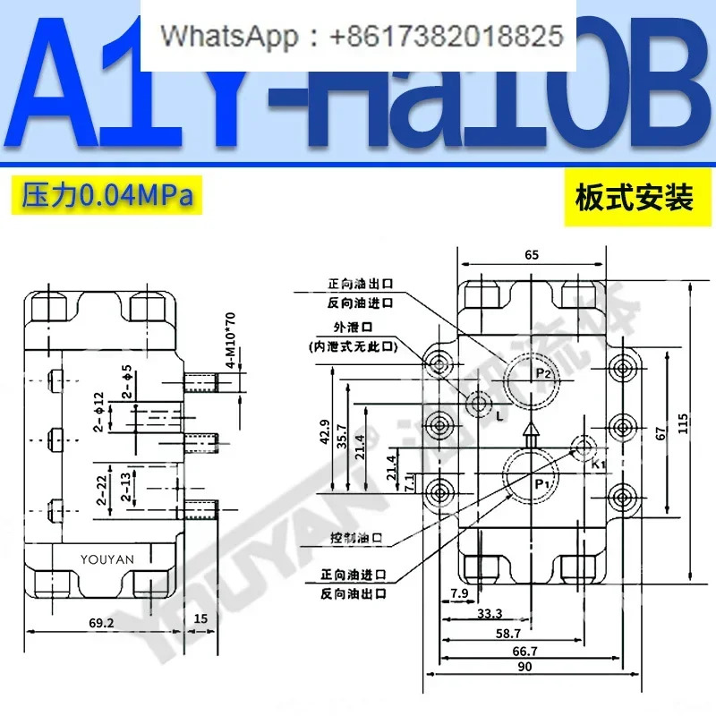 A2Y 유압 DFY-B10H 압력 유지 밸브 Ha50F 제어 체크밸브 A1Y-Ha10B-Hb20B AEY-Ha32