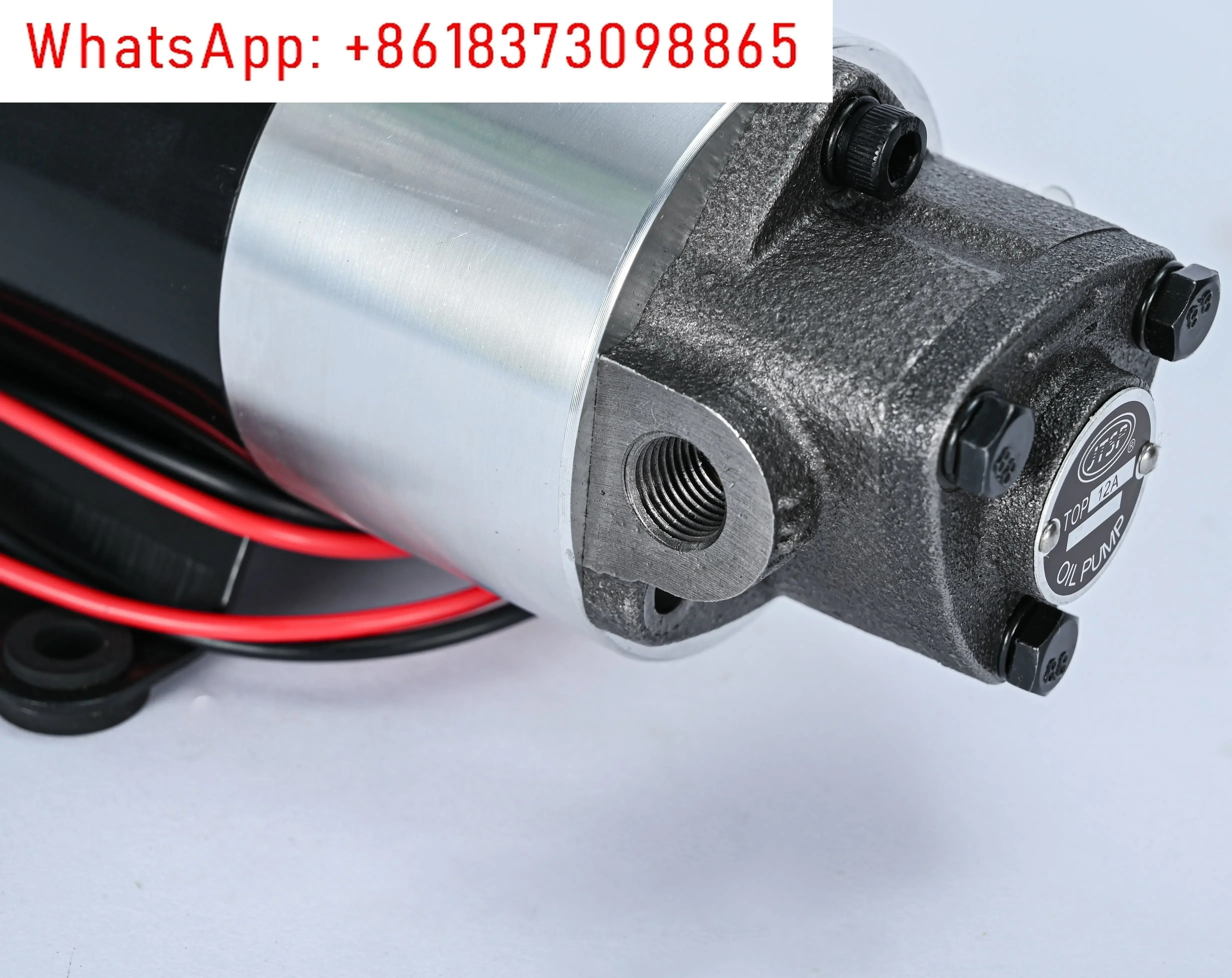 전기 펌프 12V/24V/220V DC 기어