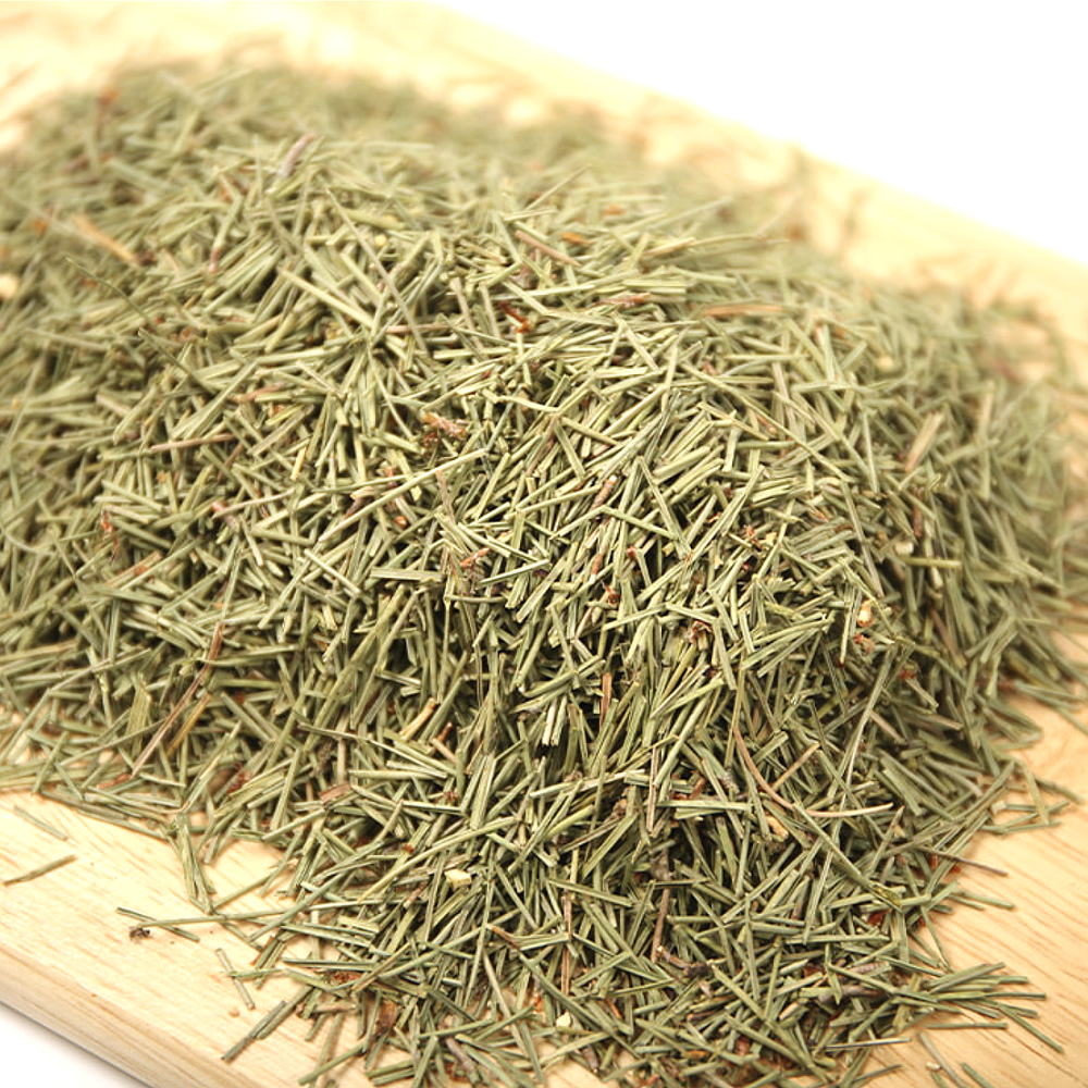 솔잎 효능 대용량 1KG 국산 100% - 상세 이미지 3