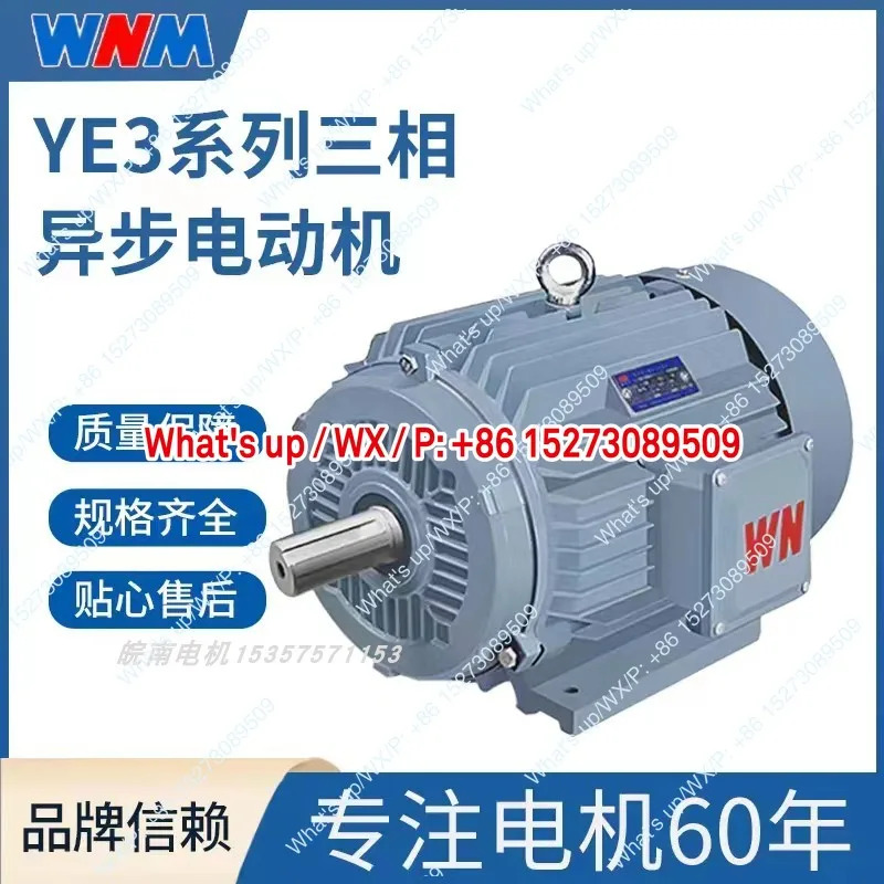Nanhua Wannan Motor YE3-200L1-2-30KW 고효율 에너지 절약형 가변 주파수 3상 비동기 모터 구리