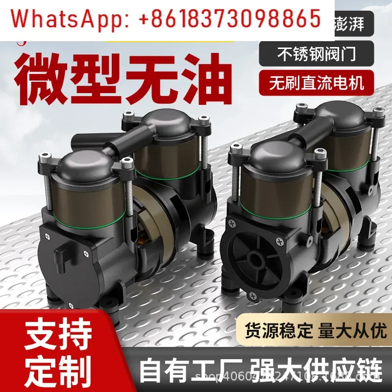 휴대산소 농축기 마이크로 압축기 DC 에어 140Kpa 오일 프리 15L 미니 펌프