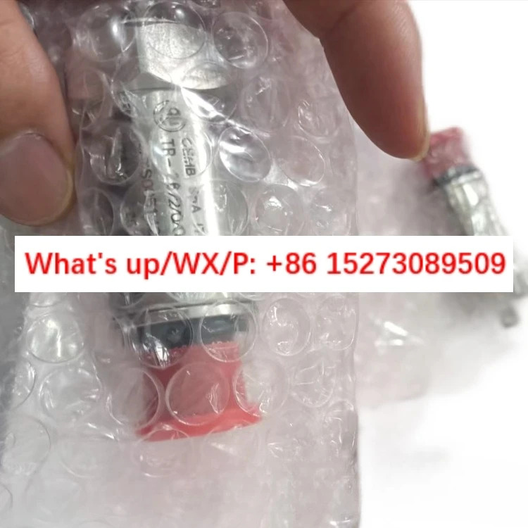 FPD10N-015-A008 피스톤 유량 스위치 FPD10N-015-G-D-A-7-Q-1