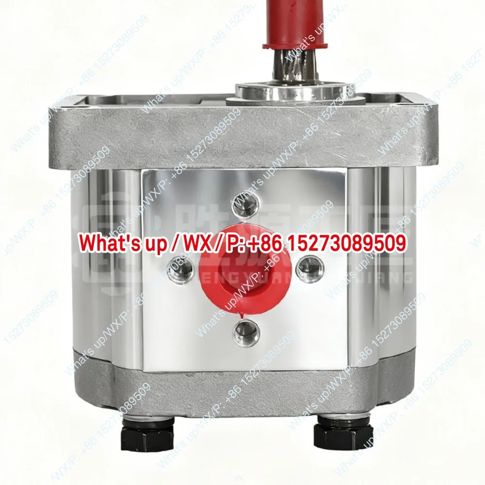 SYCBW-F310-HL 유압 기어 고압 오른쪽 회전 20Mpa 수평 오일 펌프 유체