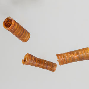 벨체르 프리미엄 저알러지 간식 말 통울대, 50g, 1개 솔직 후기 | 실제 사용자 리뷰 총정리 - 상품 이미지 2