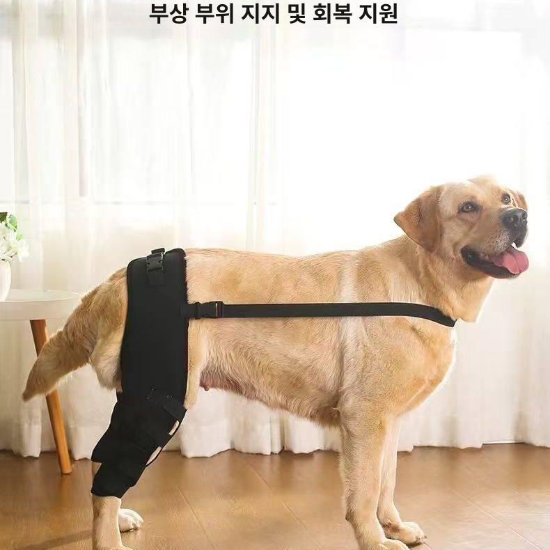 슬개골 보호대 무릎 고관절 블랙 뒷다리 블랙 L 4개스트랩 - 상세 이미지 3