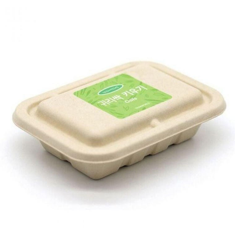 지니몰 반려 식물 재배 키트