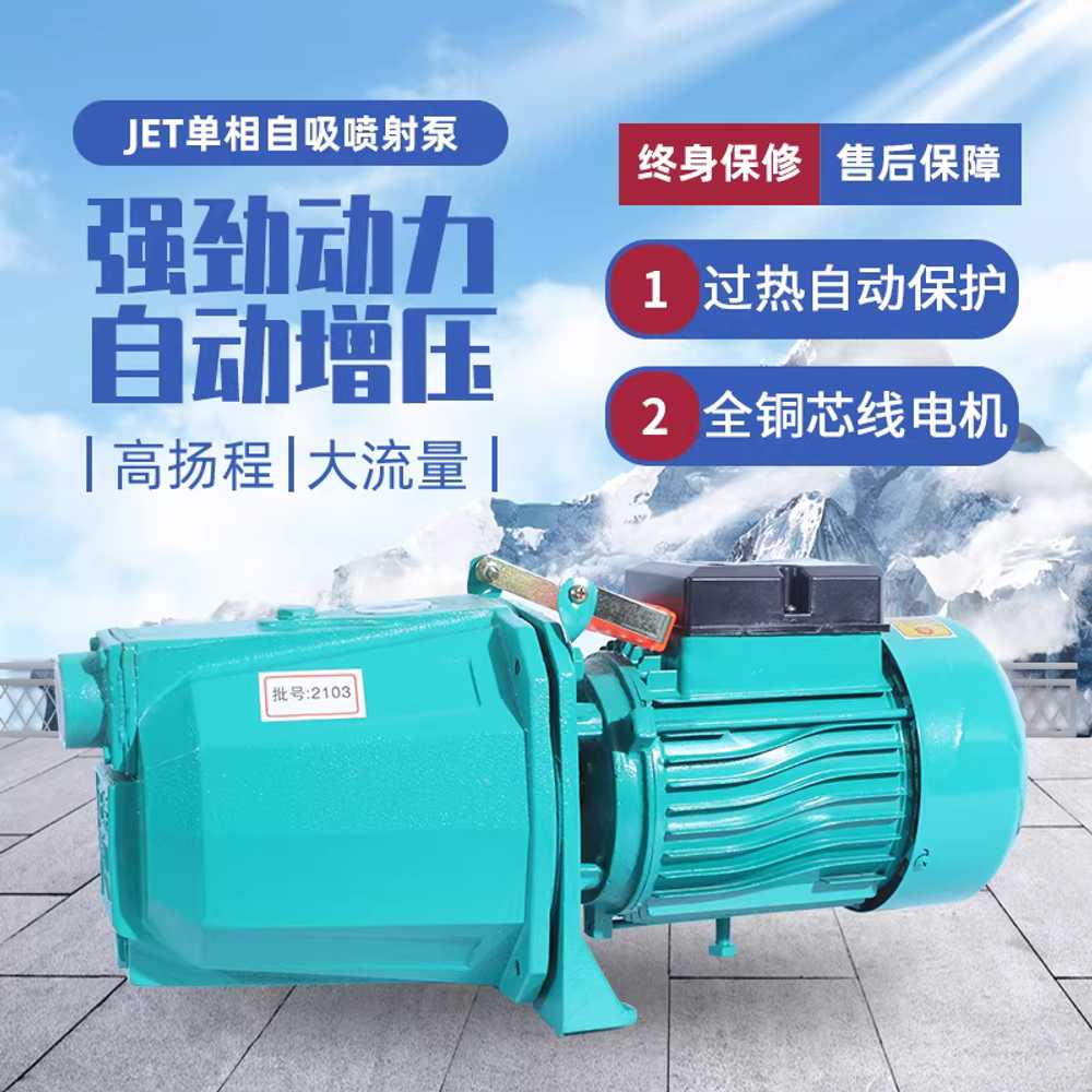 지하수 모터 220v 프라이밍 스크류형 퍼내기 단상 1100W 수동형 - 상세 이미지 3