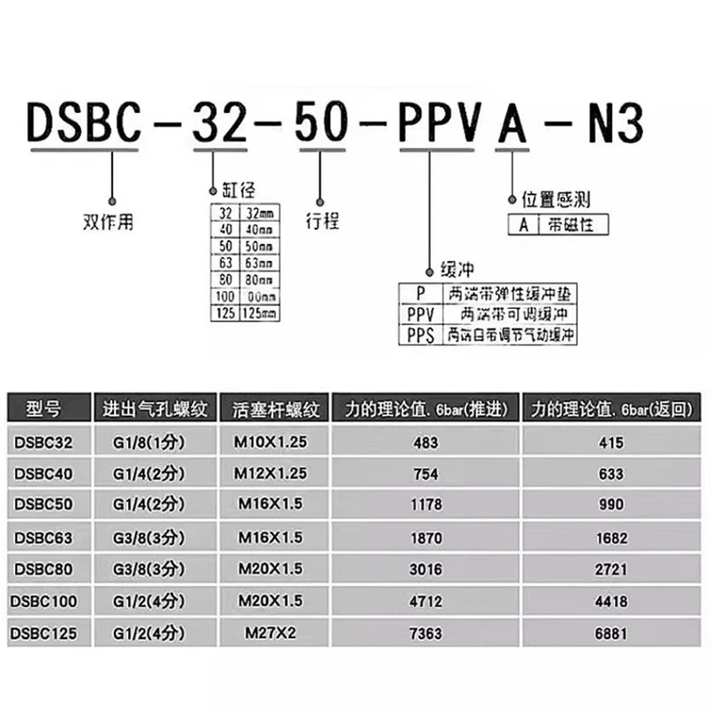 DSBC-32-25-40-50-63-80-100-125-150-160-200-250-300-320-400-500-C-T-PPVA-PPSA-N3 DSBC-63-125-C-PPVA-