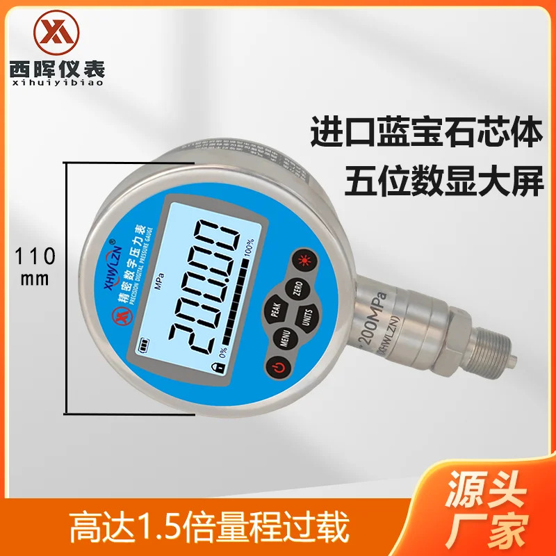 500MPa/400MPa/300MPa/200MPa 고정밀 디지털 압력계 0.05 등급