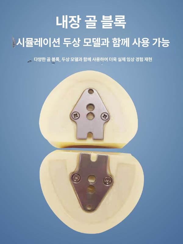 치아모형 구강구조 치과 의사 수지 무치악 임플란트 모델 무턱 수지 치아 모형 - 상세 이미지 4