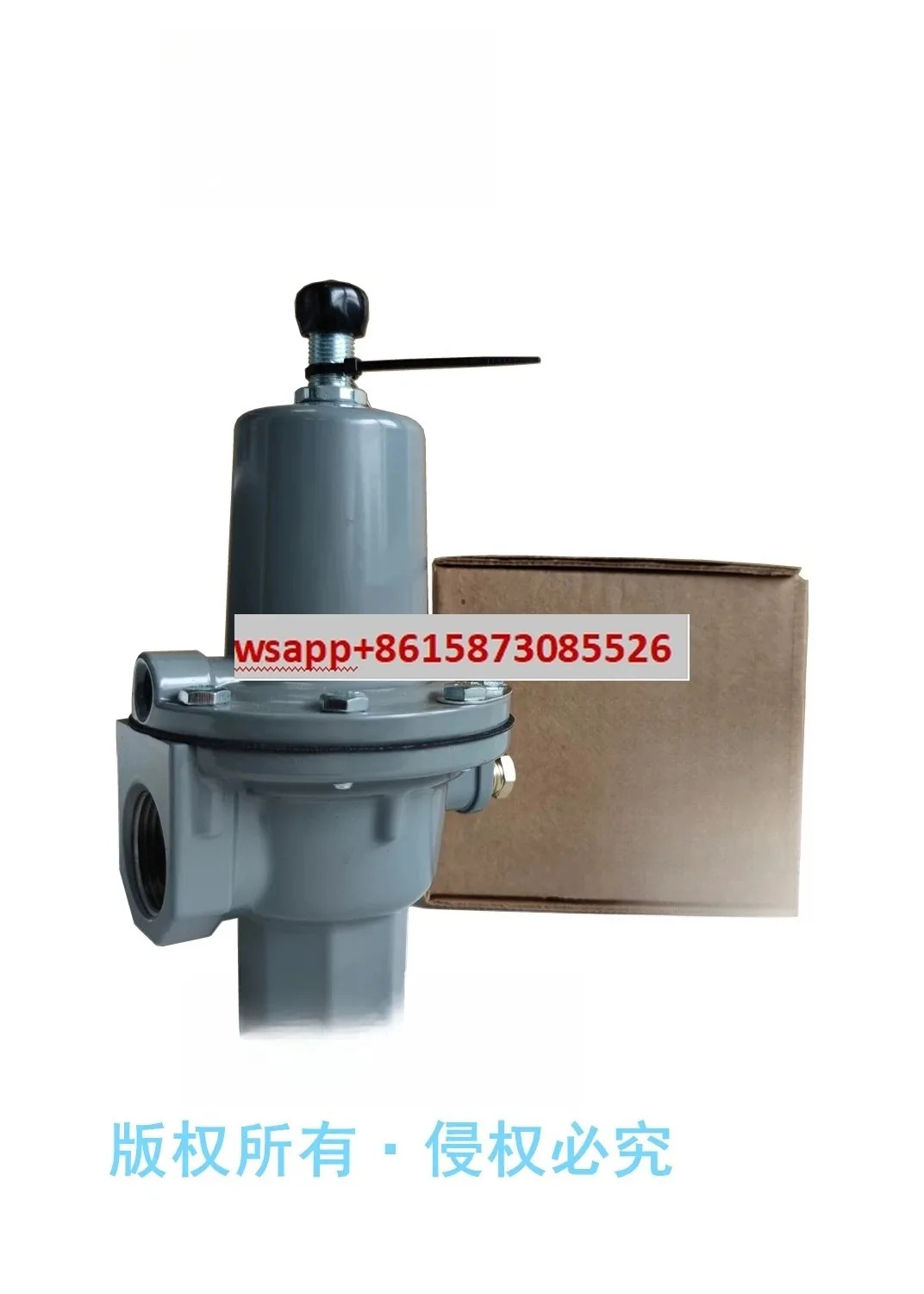 289H-42 과압 릴리프 밸브 289H DN25 1인치 NPT