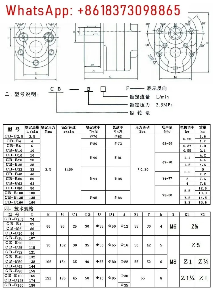 CB-B10/B6/B4/B16/B25/B32/B40/B50/B63/B80/100/B125F 기어 오일 펌프 RW