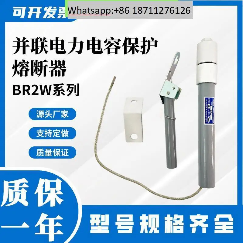밍가오 션트 파워 커패시터 보호 퓨즈 BR2/BRN/BRW-10 12 KV